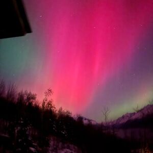 Meet your Posher, Thomas